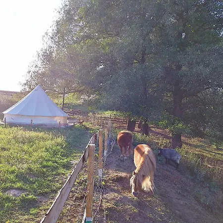 Glamping Im Safarizelt Apartment